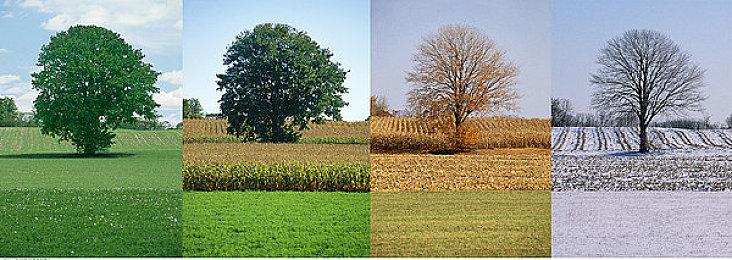 多人联机生存恐怖建造游戏《Derelicts》预告 支持简中