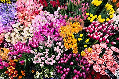 《火箭联盟》将加入FIFA电竞世界杯 邀请16个国家参赛